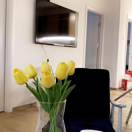 Vanja Apartman Vrsac Zewnętrze zdjęcie