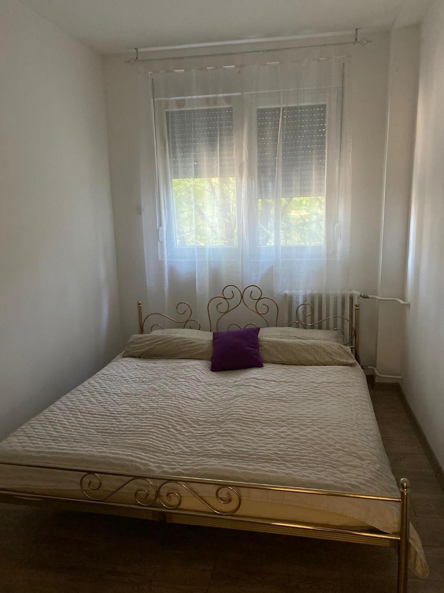 Vanja Apartman Vrsac Zewnętrze zdjęcie