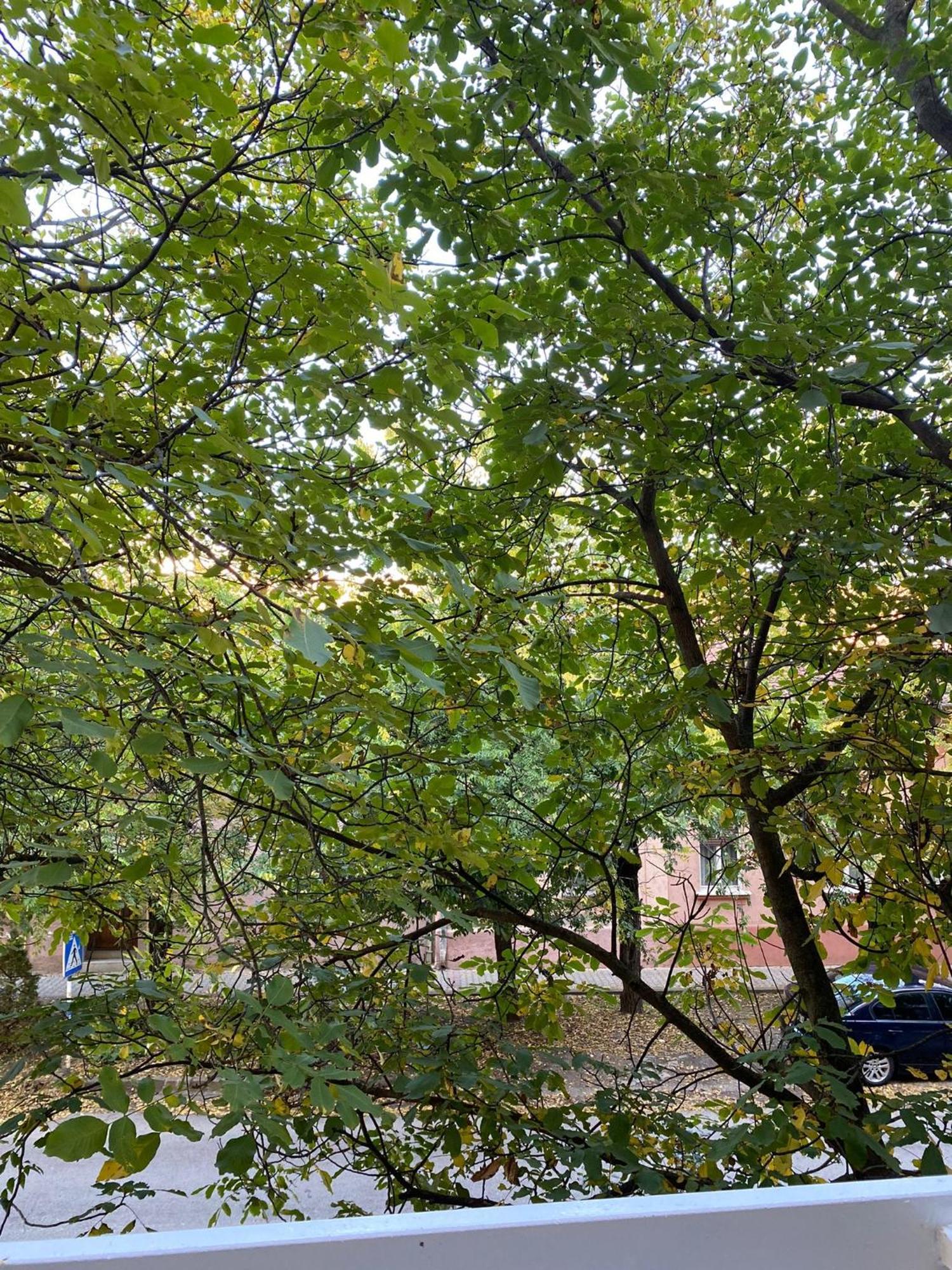 Vanja Apartman Vrsac Zewnętrze zdjęcie