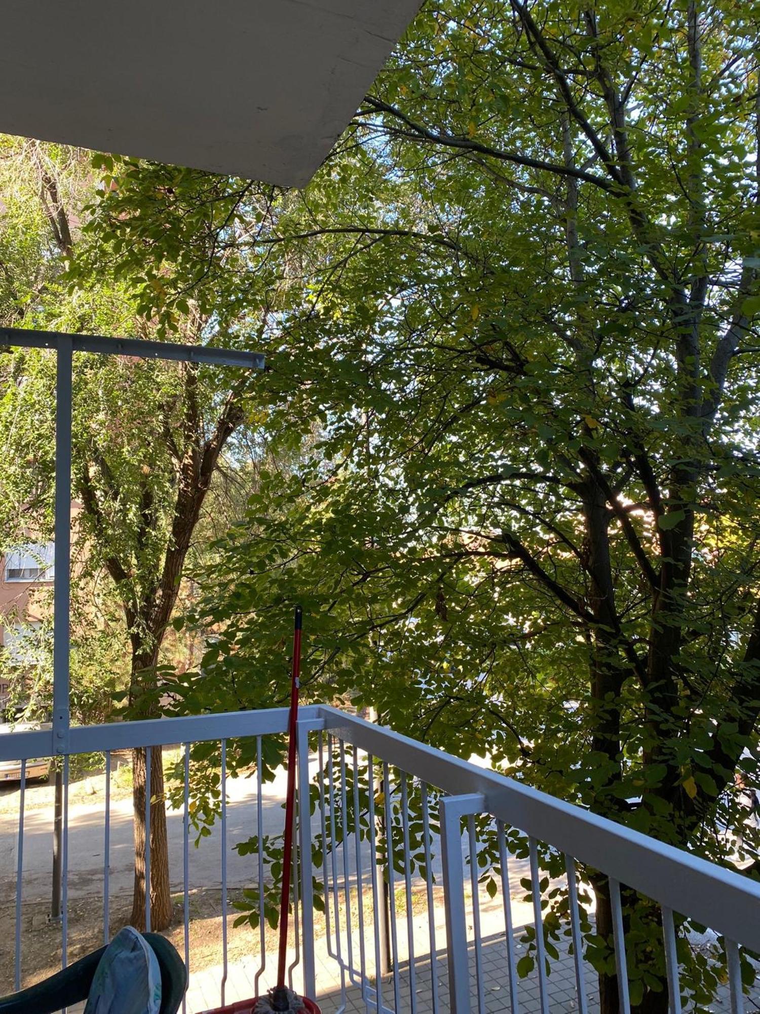Vanja Apartman Vrsac Zewnętrze zdjęcie